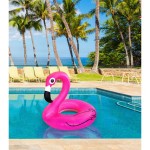 bouee-gonflable-flamant-rose